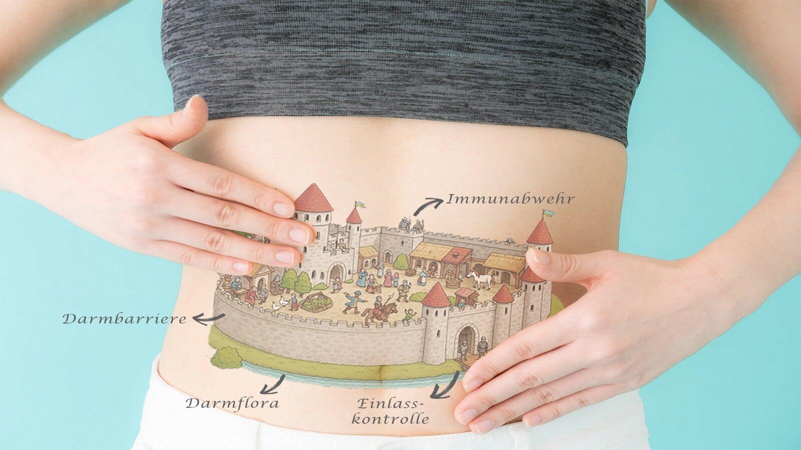 Cell Essentials - Exkurs: Wie funktioniert unser Darm